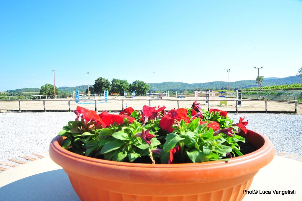 Farm stay Cascina Al Colle Populonia